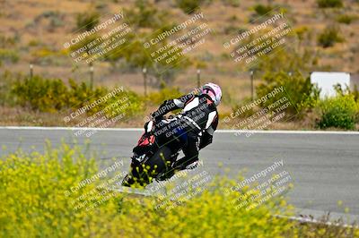 media/May-10-2024-2WTD (Fri) [[c88d7990af]]/Group B/Session 2-The Bowl/
